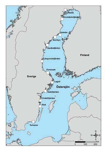 5. Metod Som underlag för alla analyser har vi använt data från den samordnade kustfiskövervakningen längs den svenska ostkusten (Figur 1).