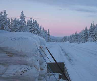 NU KOMMER YNGVE RYDs OCH GUNILLA FALKS SAMISKA FÅGELBOK BOKSLÄPP tisdag 24 oktober, kl 19.00 TÄRNABY FJÄLLHOTELL Ett praktverk om Lapplands fågelvärld i text och bild.