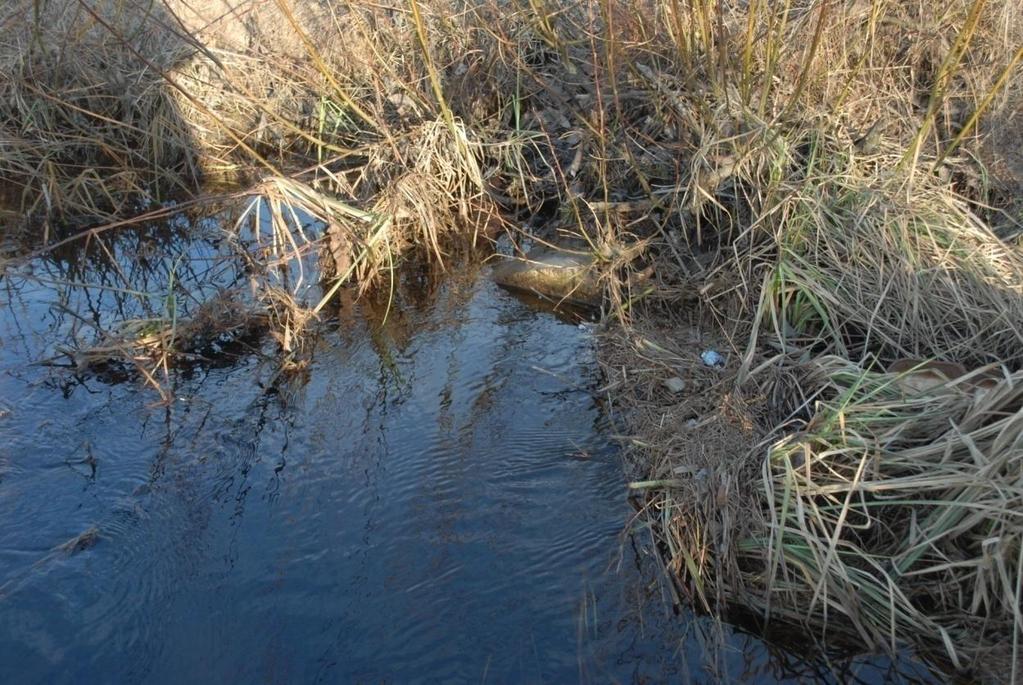 Bäckens nivå sjunker med ca 13 cm mellan vägtrumman och punkt 2 men sedan är fåran rätt flack då nivåskillnaden mellan punkt 2 och punkt 3 är ca 3 cm.