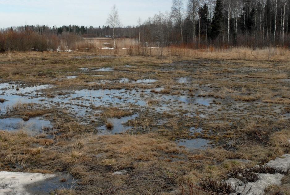 Marknivåer i olika delar av den planerade fisklekplatsen Nivåskillnader mellan olika delar av den planerade fisklekplatsen finns.