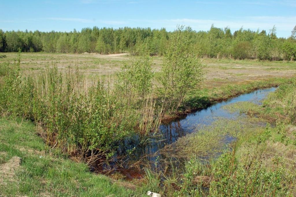 Bild 14. Den planerade fisklekplatsen 29.5.2009 fotograferad mot nordväst. Vägtrumman är under vattennivån. Plan för motverkande av försurning Provtagningen gjordes den 23.