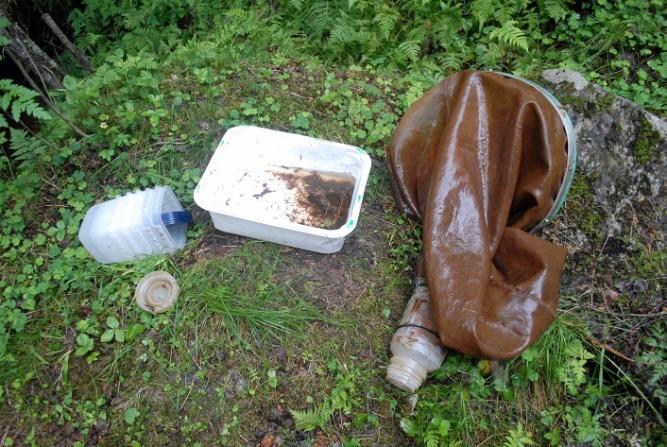 von Schwerins bro och Lillträsket. Åtminstone gädda och abborre kan således passera de restaurerade avsnitten. Tabell 3. Fångst av utvandrande yngel vid von Schwerins bo sommaren 2013.