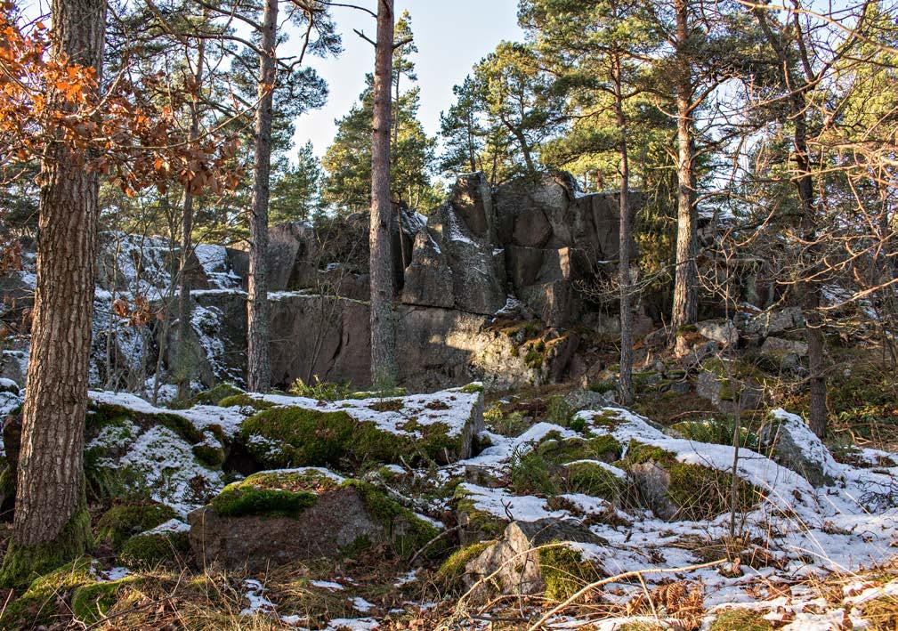 Stenbrott Foto: Marit Stigsdotter Rävberget Ett brott från 1870-talet och ett av de äldsta i Vånevik.