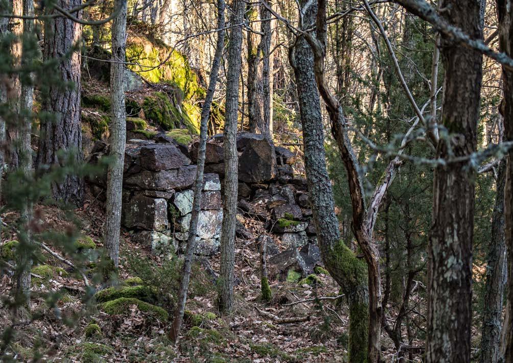 Byggnader Foto: Marit Stigsdotter Krutkällaren Den gamla krutkällaren, belägen bara ett stenkast från Lusthuset.