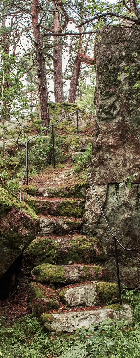 Vägar och stigar Foto: Marit Stigsdotter Stentrappan Trappan upp mot Lusthuset och den mycket speciella platsen där uppe. Trappan är delvis uthuggen direkt ur berget.