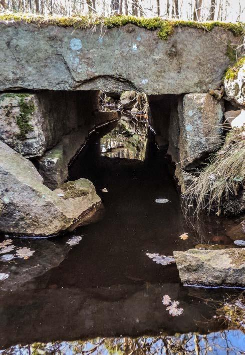 havsviken söder om Rävberget. Skogsstigen löper över diket via en liten stenbro.