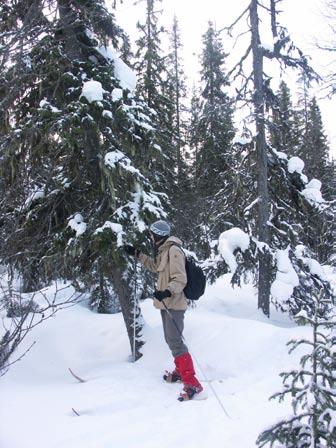 Följande huvudtyper av kompensation ingår i paketet av åtgärder som föreslås: Samma naturtyp De kompensationsåtgärder som föreslås omfattas av naturskydd är naturvärden som liknar de påverkade, dvs.
