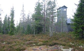 Glesa tallskogar i myrmosaiken nedanför Björnklinkåsen Navardalen är ett