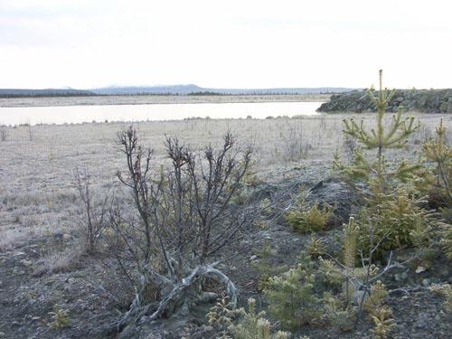 Avgränsningen är gjord för att åstadkomma ett väl sammanhållet område med hög andel äldre skog.