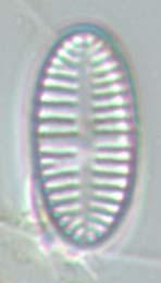 2011: 9