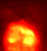 MISTEE oxidation tests Oxidation is among the most uncertain phenomena in modelling of fuel-coolant interaction
