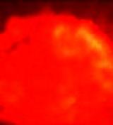 Experimental conditions for the series of tests conducted at the MISTEE-HT droplet facility is summarized in