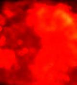 In the tests, interaction between the melt and water are recorded visually at high speed.