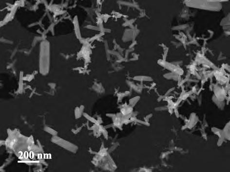 a) b) c) Figure 4.25. SEM micrographs of ruthenium particles on a nickel/carbon grid in experiments (a) with humid air, (b) with NO2 gas injection, and (c) with feed of CsI.