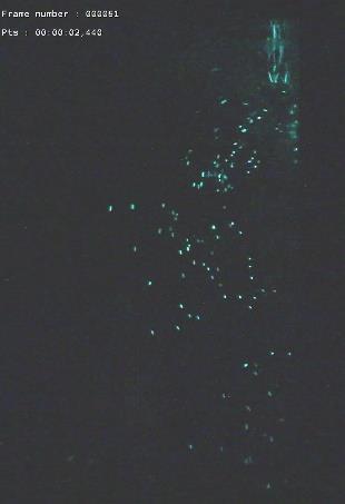a) b) c) Figure 3-69: Mass fraction of particles collected in catchers (a) and glowing particles (b) simultaneous release; (c) single particle release.