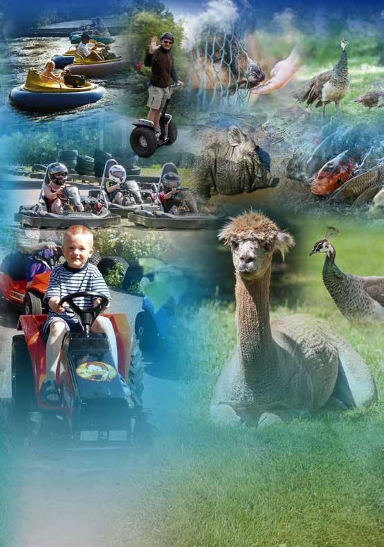Här kan alla fartglada roa sig med bl.a. Go-cartbanor, Crazy Bikes, Bumperbåtar osv. Naturligtvis finns succén Segway på plats (från 1,50 lång)!