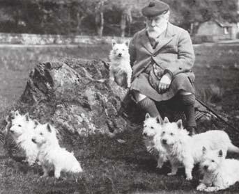 Det fanns också små Vita Terrier som kallades Roseneath Terrier uppfödda av Hertigen av Argyll, dessa var av likande avel som Poltalloch Terriern