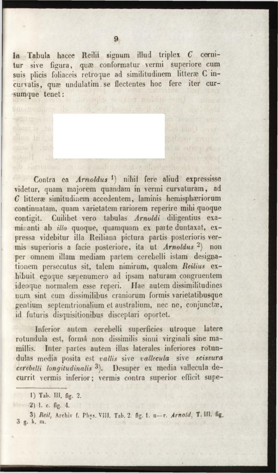 in Tabula hacee Reilii signum illud triplex C cernitur sive figura, quæ conformatur vermi superiore cum suis plicis foliaceis rctroque ad similitudinem litteræ C incurvatis, quæ undulatim se