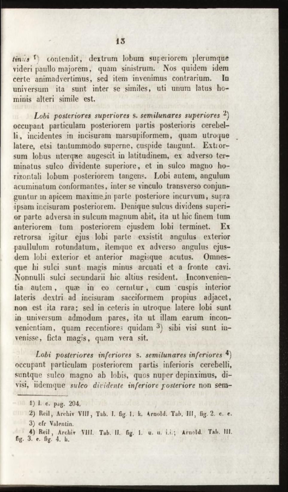 t in ii s f conlendit, dextrum lobum supeiiorem plerumque videri paullo majorem, quam sinistrum. Nos quidem idem certe animadvertimus, sed item invenimus contrarium.