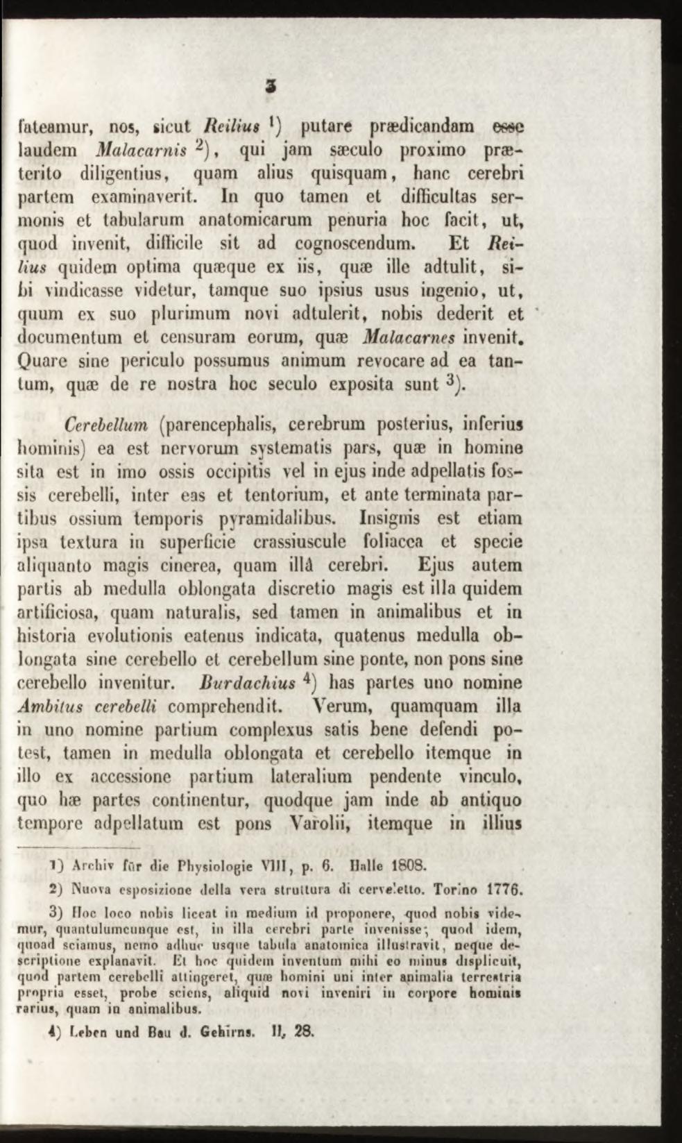 fuleamur, nos, sicut Rcilius l) putare praedicandam e m i laudem M alacarnis 2), qui jam saeculo proximo praeterito diligentius, quam alius quisquam, hanc cerebri partem examinaverit.