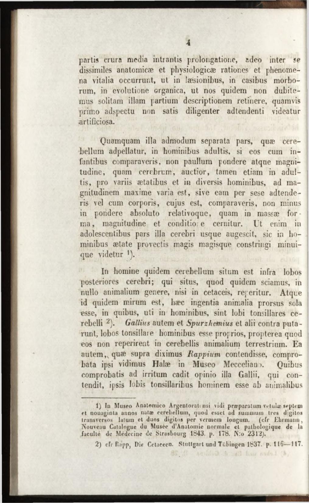 A partis crura media intrantis prolongations, adeo inter se dissimiles anatomicæ et physiologicæ rationes et phenomena vitalia occurrunt, ut in laesionibus, in casibus morborum, in evolutione