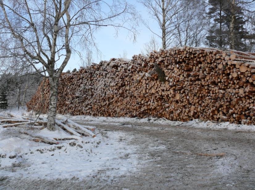 Avverkning och uttag Endast hyggesfritt skogsbruk, där kostsamma föryngringsåtgärder undviks, tillämpas.