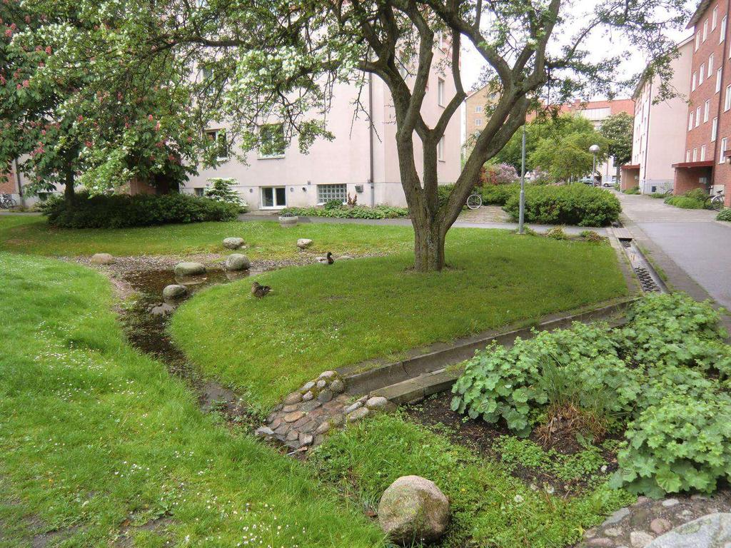 Föroreningsinnehåll i dagvatten från ett myndighetsperspektiv Swecos