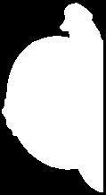 varchar2(100); v_object_type varchar2(100); begin for c in c_constraints loop execute immediate 'alter table ' c.table_name ' drop constraint ' c.