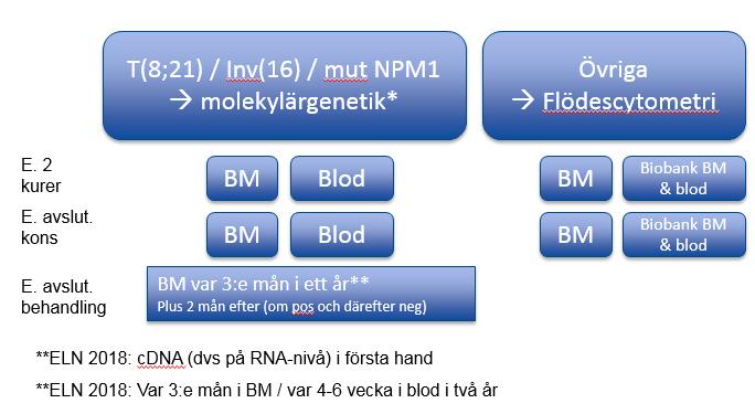 Rekommendation: Analys av MRD avseende t(8;21) och inv(16) bör göras i benmärg med molekylärgenetisk metod efter 2:a kuren och efter avslutad konsolidering.