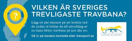 MIKKO AHO - PROFFSTRÄNARE PÅ ÅBYTRAVET! Över en miljon kronor intjänat och segerprocent på 18,3 %!