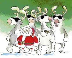 ORDFÖRANDEORD Hej alla glada amatörer. Så har vi åter klarat av en stor del av höstterminen och ser fram emot luciamötet den 12.e december.