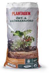 Den odlas numera främst i hemmaträdgårdarna.