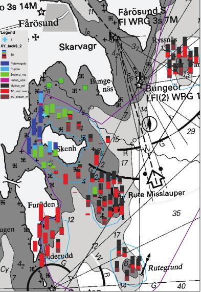 Turkost kors markerar förekomst av kransalg ovanför Skenholmens nordvästra spets. rekomsterna noterades i delområdena Fårö Misslauper, Södergrund och Rute grund.