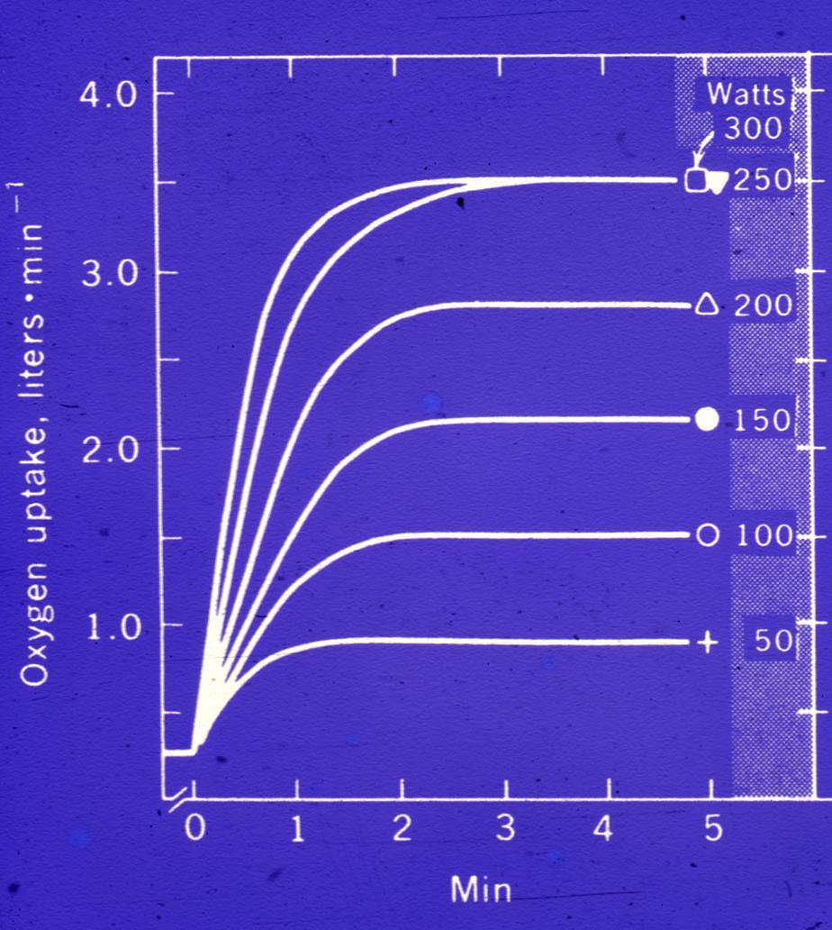 Syreåtgång i vila och under arbete 50 Watt,