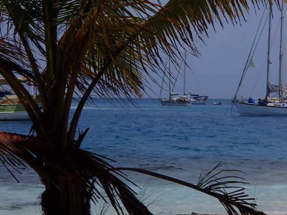 I den västra delen körs turister ut till öarna och många seglare utnyttjar de skyddade