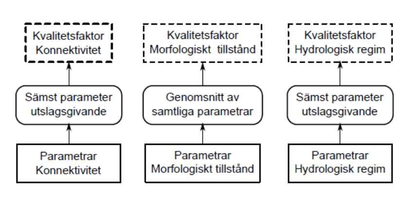 Hydromorfologiska