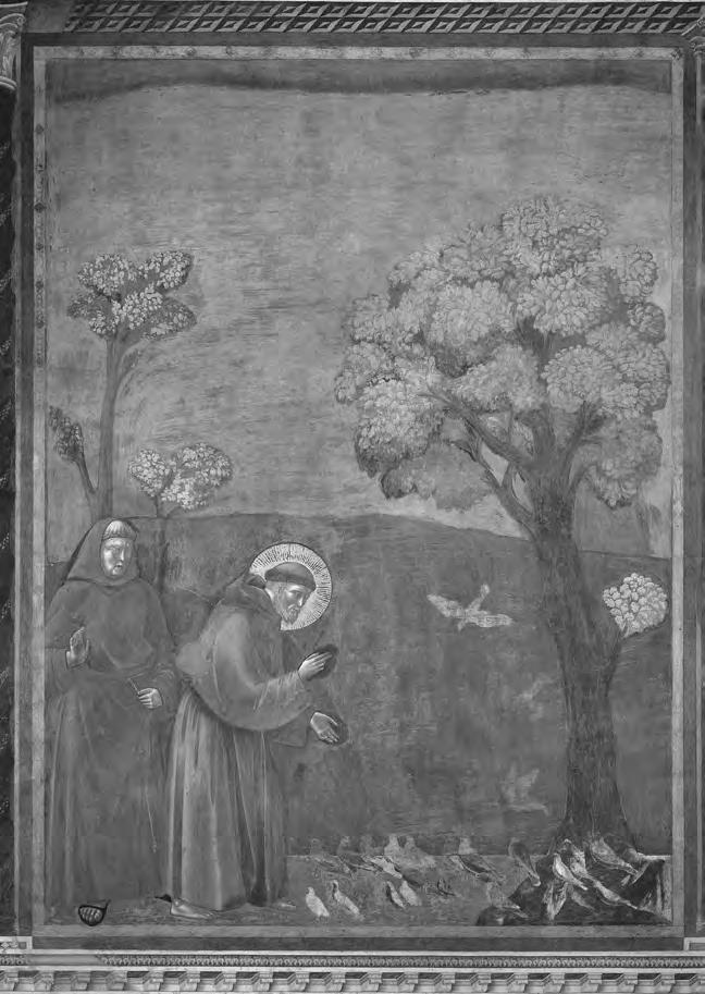 51 Fig 14