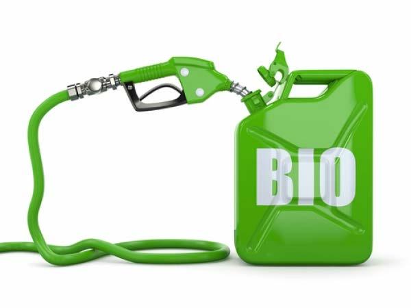 BioDriv and Biooil are two SVEBIO networks for organisations and companies, which wants to create fossil free sectors and benefit sustainable biofuels.