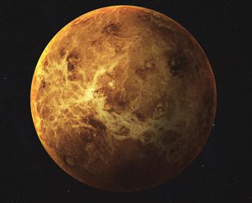 Venus Terra