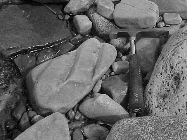 BILAGA 2: MÄTNING, TROLMENS STRAND Provbenämning Prov 1 (Röd
