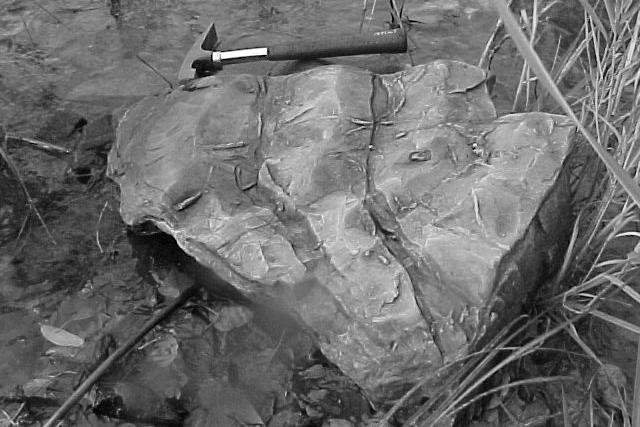 sandsten med spårfossil, N 6499772, O 1356621) (PR, 051113)