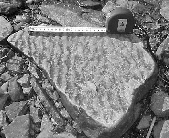 sandsten, N 6499989, O 1356665) (PR, 040415) 15
