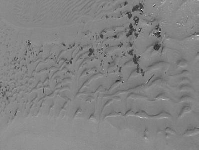 Strandkant i bildens nedre marginal, med omkring 0,5 m botten ut från stranden. De inre 30-40 cm består helt av catenary ripples som huvudsakligen är i fas.