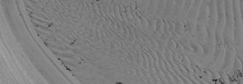 avsnitt 3.3.). Med sådana förutsättningar blir det än viktigare att inom paleontologi, paleogeografi och historisk geologi kunna arbeta med mer information än bara fossil. 1:3.