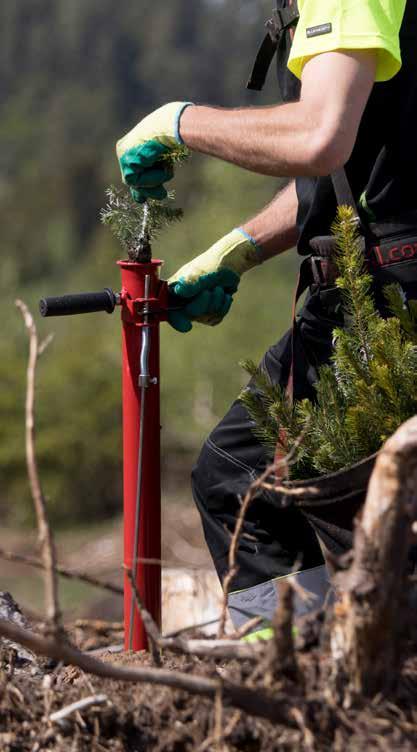 RABATT, TILLÄGG OCH HEMLEVERANS Tjänst Rabatt vid beställning av mer än >50 000 plantor Rabatt vid beställning av 30 000-50 000 plantor Rabatt vid beställning av 20 000-30 000 plantor Rabatt vid