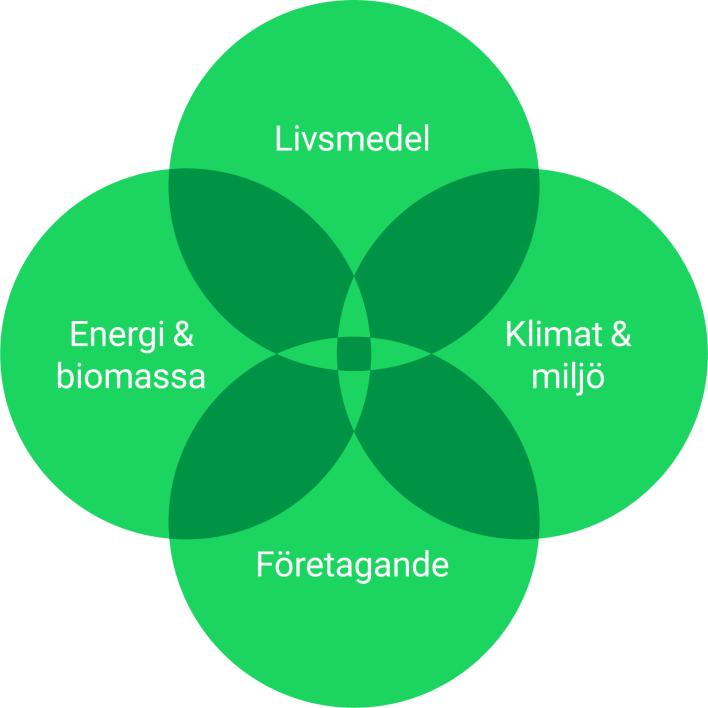 Övergripande fokusområden Stiftelsen Lantbruksforskning prioriterar forskning, konceptutveckling och innovation inom fyra tematiska fokusområden: Livsmedel, energi & biomassa, företagande samt klimat
