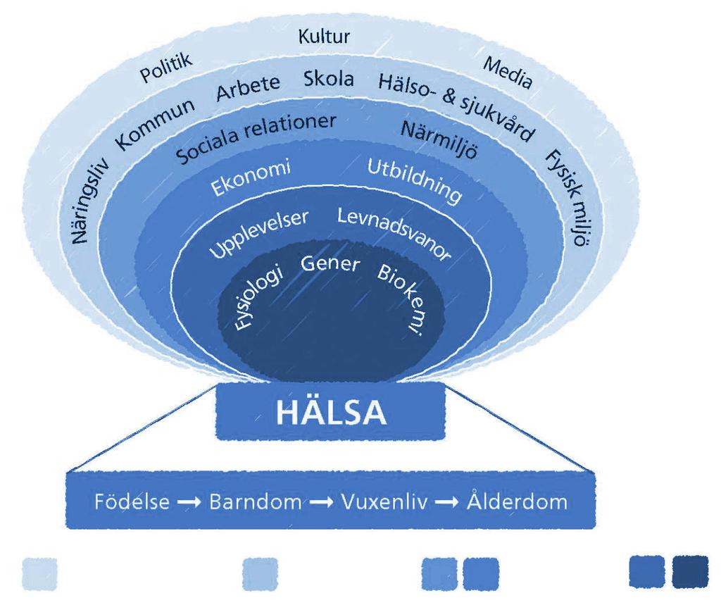 Inledning Varför är det viktigt med befolkningsstudier?