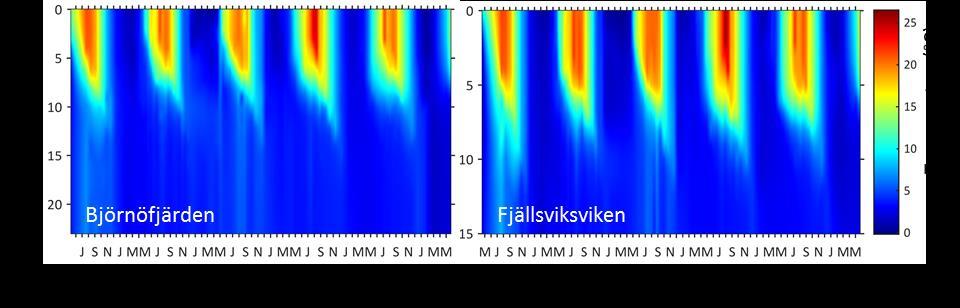 Figur 3. Temperatur på olika vattendjup i Björnöfjärdens och Fjällsviksvikens djuphålor, maj 2011- maj 2016. Notera att graferna har olika skalor.
