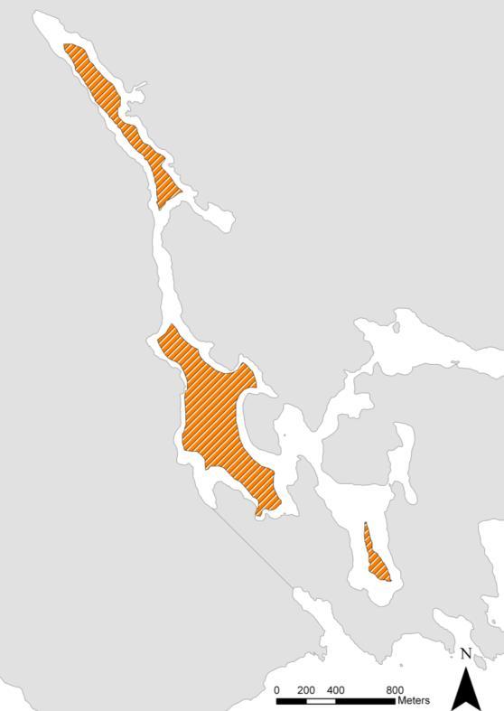 Vattenkvalitet och Språngskikt Björnöfjärdens och Fjällsviksvikens kraftiga språngskikt maskerar övergödningssituationen, särskilt under sommaren.