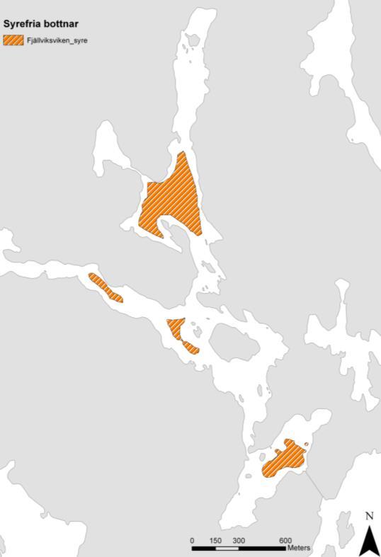 Språngskiktet gör att yt- och bottenvatten sällan blandas om, varför bottenvattnet endast syresätts någon gång per år.
